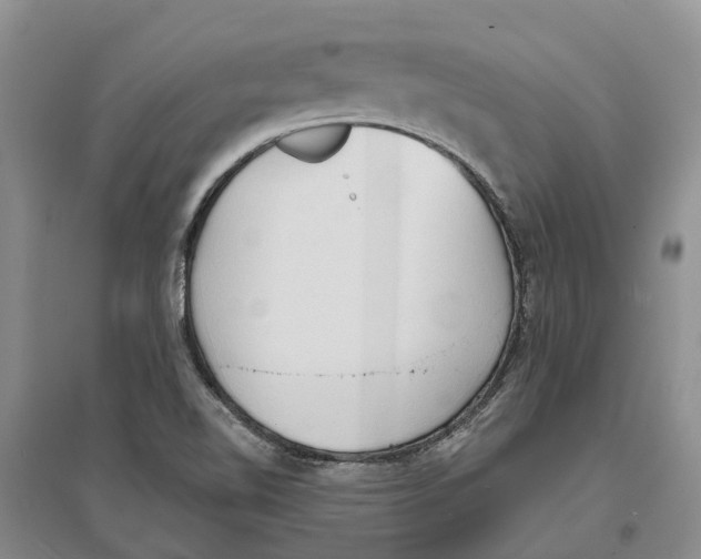 X0000096691510200802261528