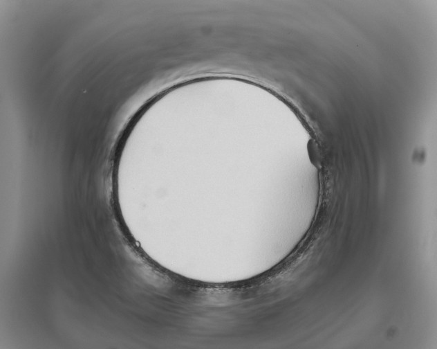 X0000096691511200802261528