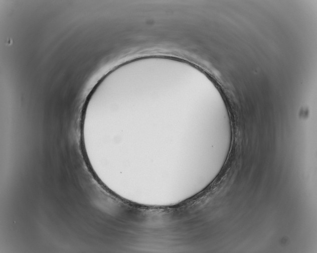 X0000096691512200802261528