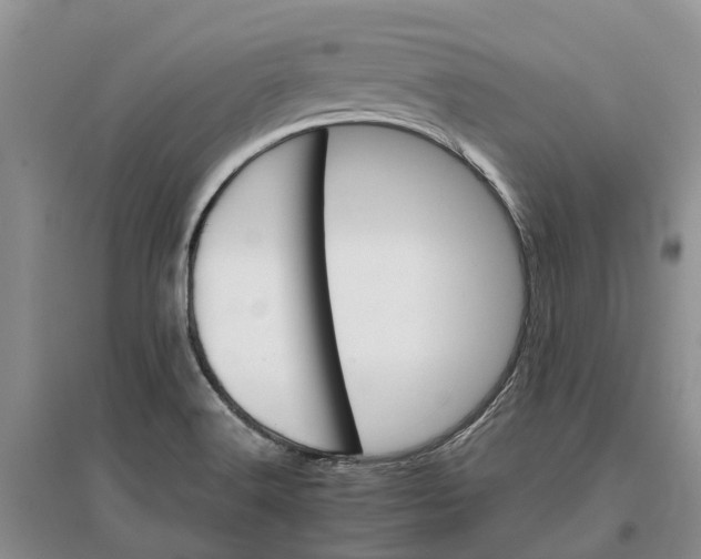 X0000096691516200802261528