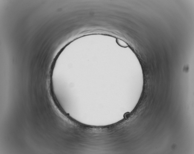 X0000096691518200802261528