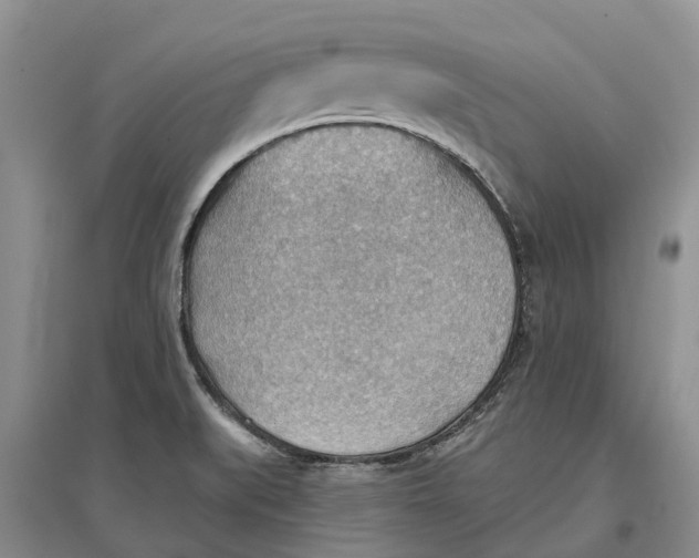 X0000096691519200802261528