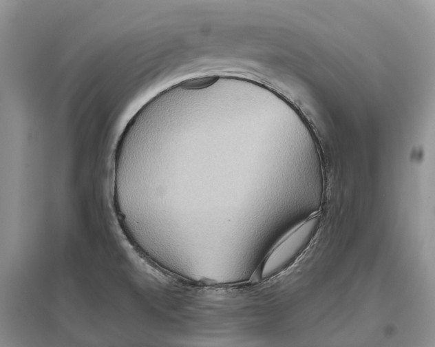 X0000096691520200802261528