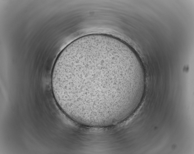 X0000096691521200802261528