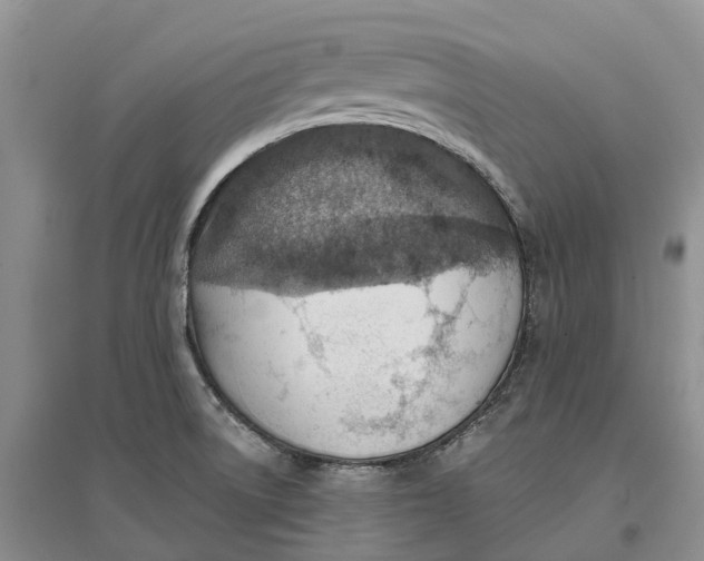 X0000096691522200802261528