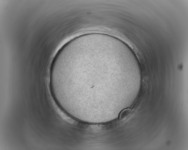 X0000096691523200802261528