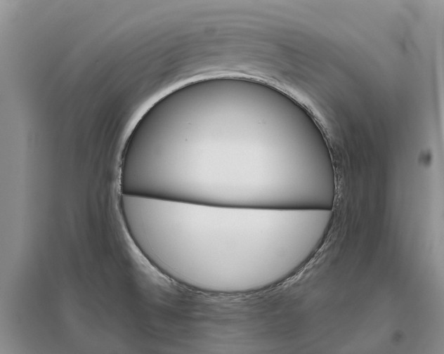 X0000096691524200802261528