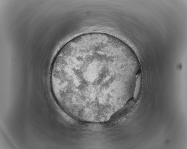 X0000096691525200802261528