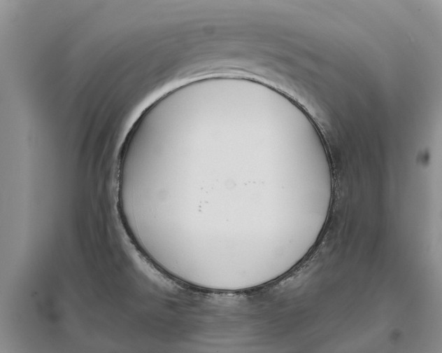 X0000096691526200802261528