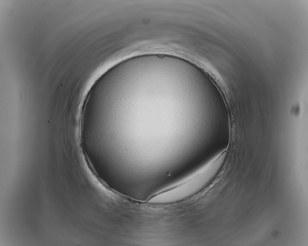 X0000096691528200802261528