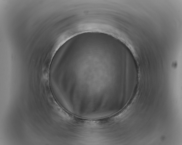 X0000096691529200802261528