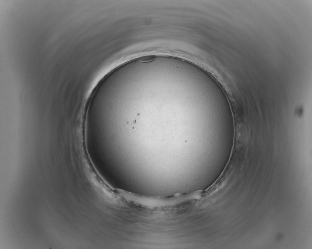 X0000096691530200802261528