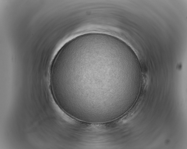 X0000096691531200802261528