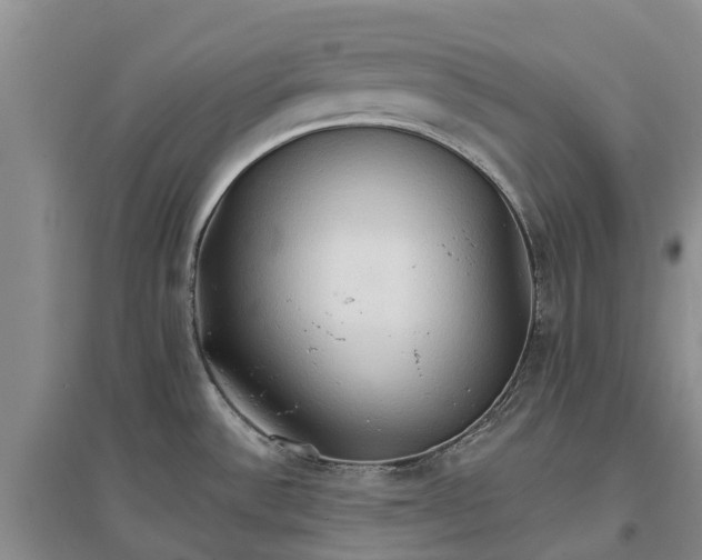 X0000096691532200802261528