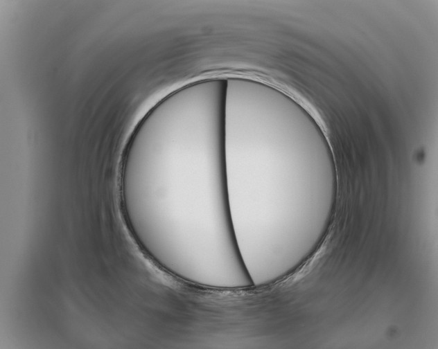 X0000096691533200802261528