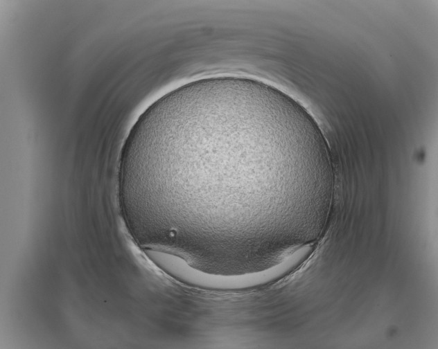 X0000096691534200802261528