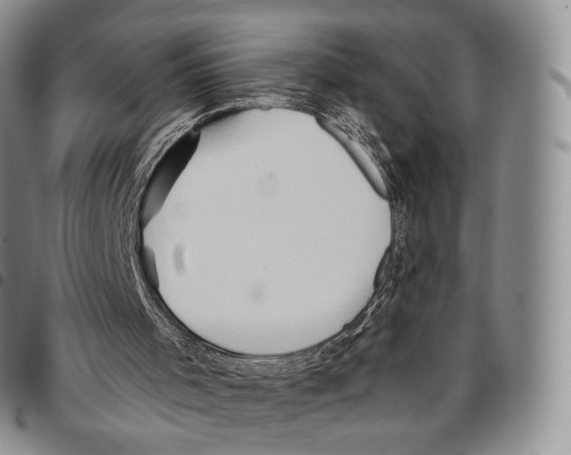 X0000096690001200803041310