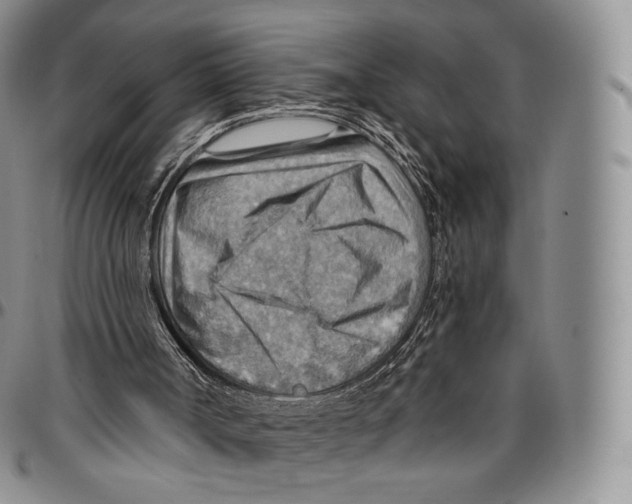 X0000096690002200803041310