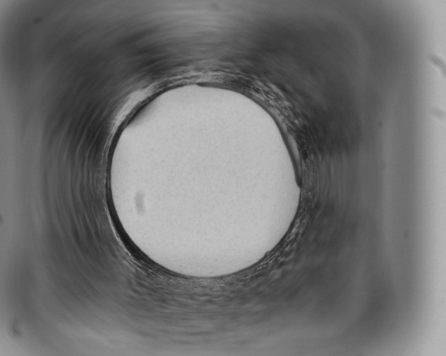 X0000096690003200803041310