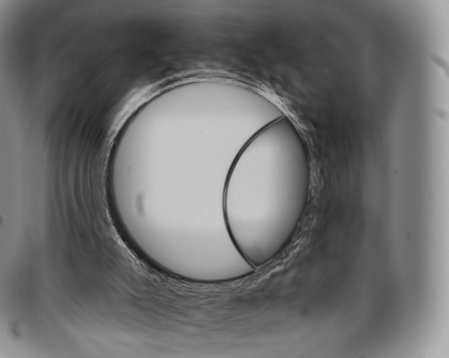 X0000096690007200803041310