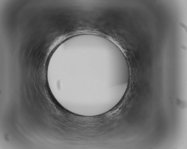 X0000096690008200803041310