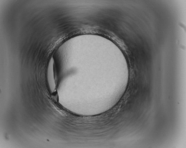 X0000096690009200803041310