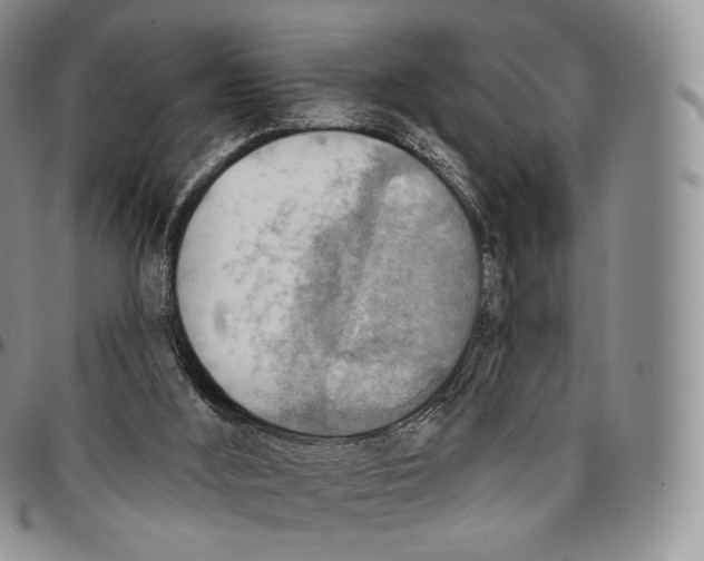 X0000096690012200803041310