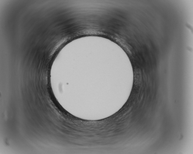 X0000096690015200803041310