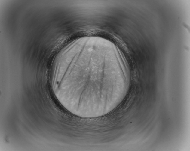 X0000096690018200803041310