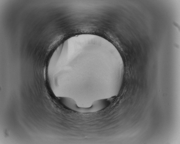 X0000096690019200803041310