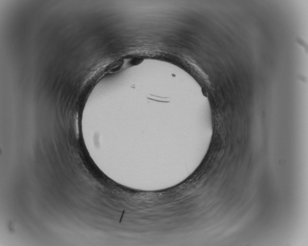 X0000096690020200803041310