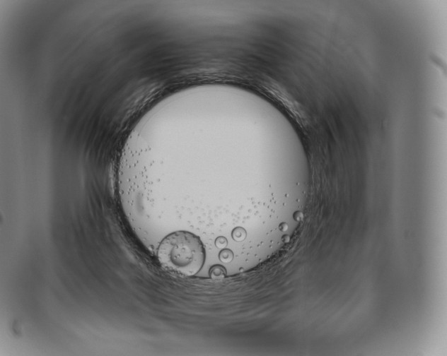 X0000096690022200803041310