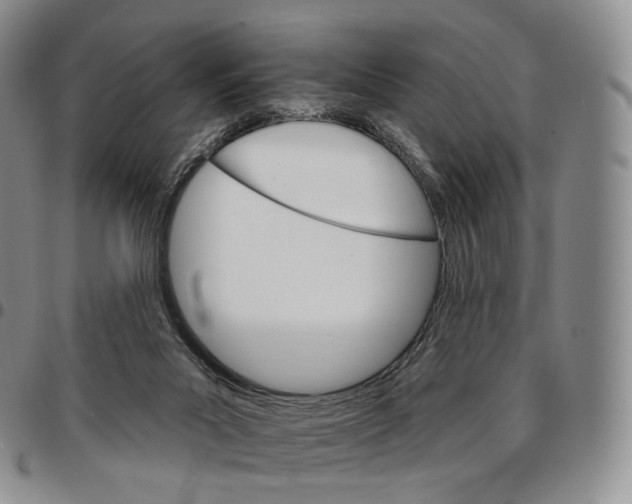 X0000096690023200803041310