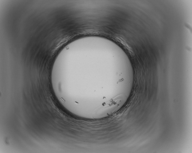 X0000096690024200803041310