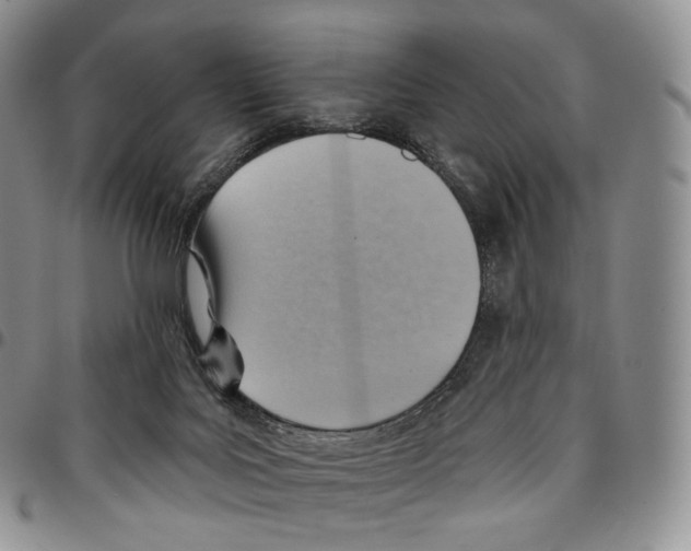 X0000096690027200803041310