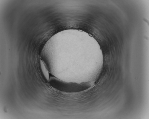 X0000096690029200803041310