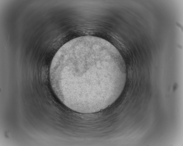 X0000096690030200803041310