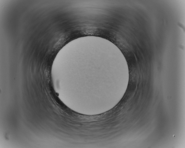 X0000096690031200803041310