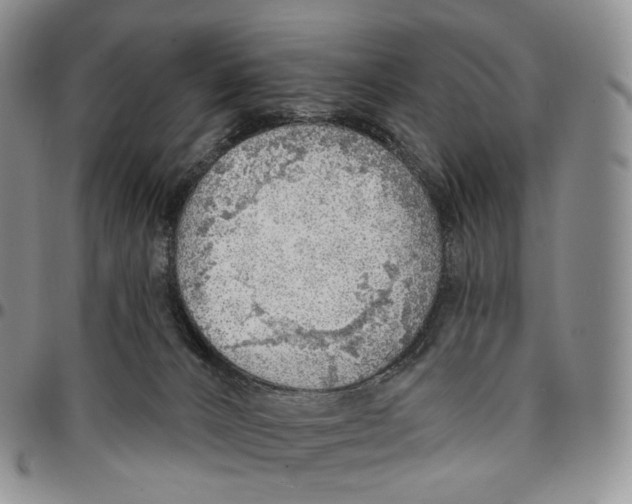 X0000096690032200803041310