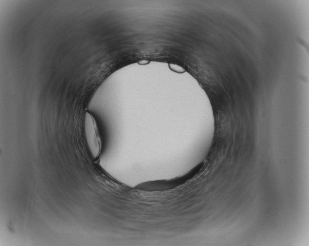 X0000096690033200803041310