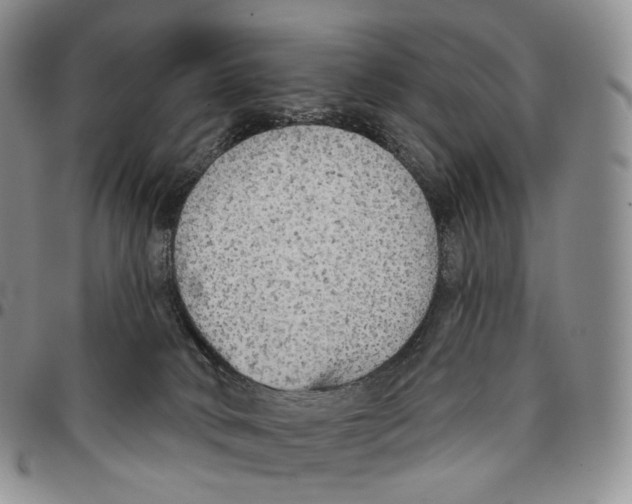 X0000096690034200803041310