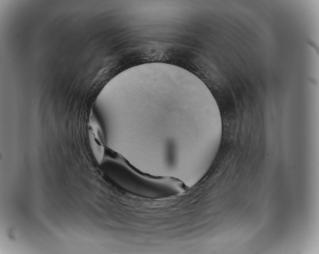 X0000096690035200803041310