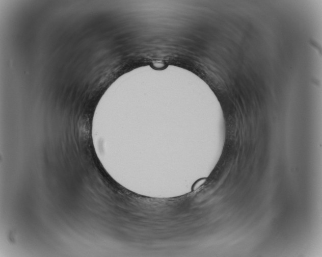 X0000096690040200803041310