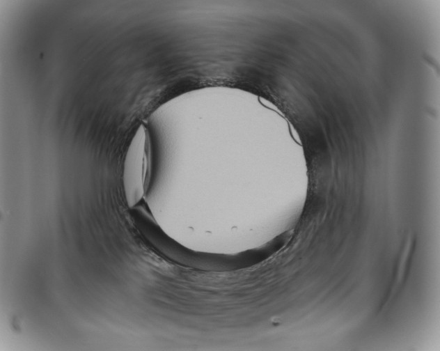 X0000096690041200803041310