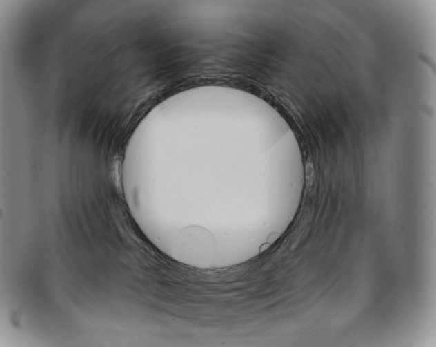 X0000096690042200803041310