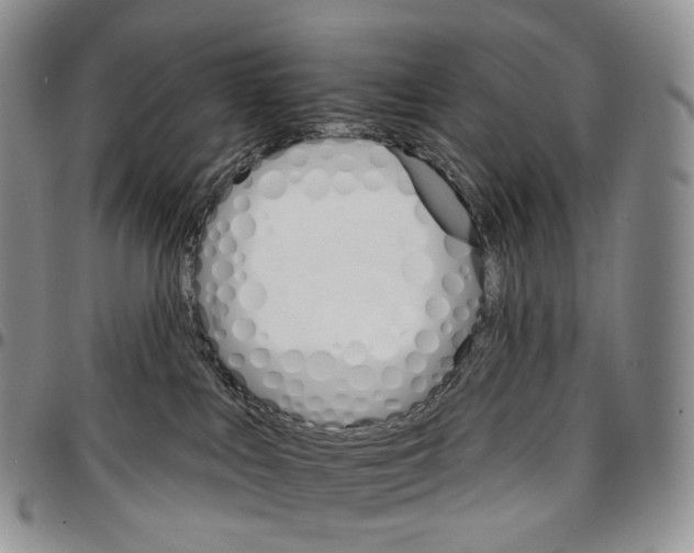 X0000096690043200803041310