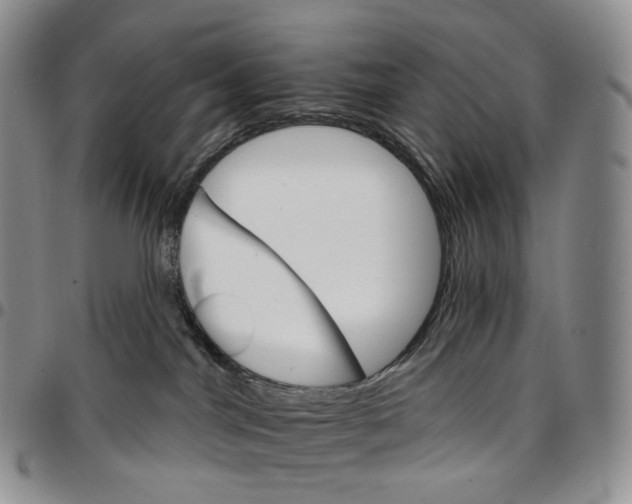 X0000096690044200803041310