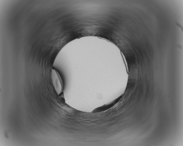 X0000096690045200803041310