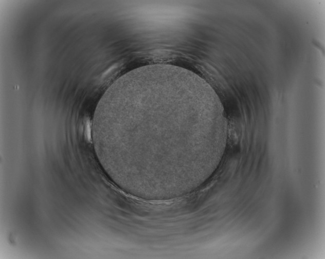 X0000096690046200803041310