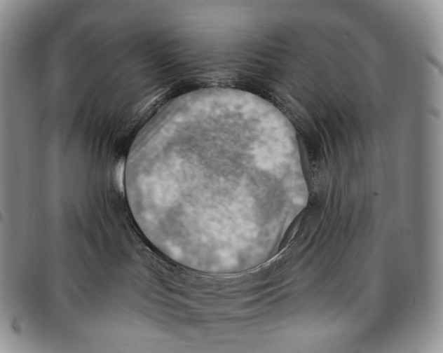 X0000096690047200803041310